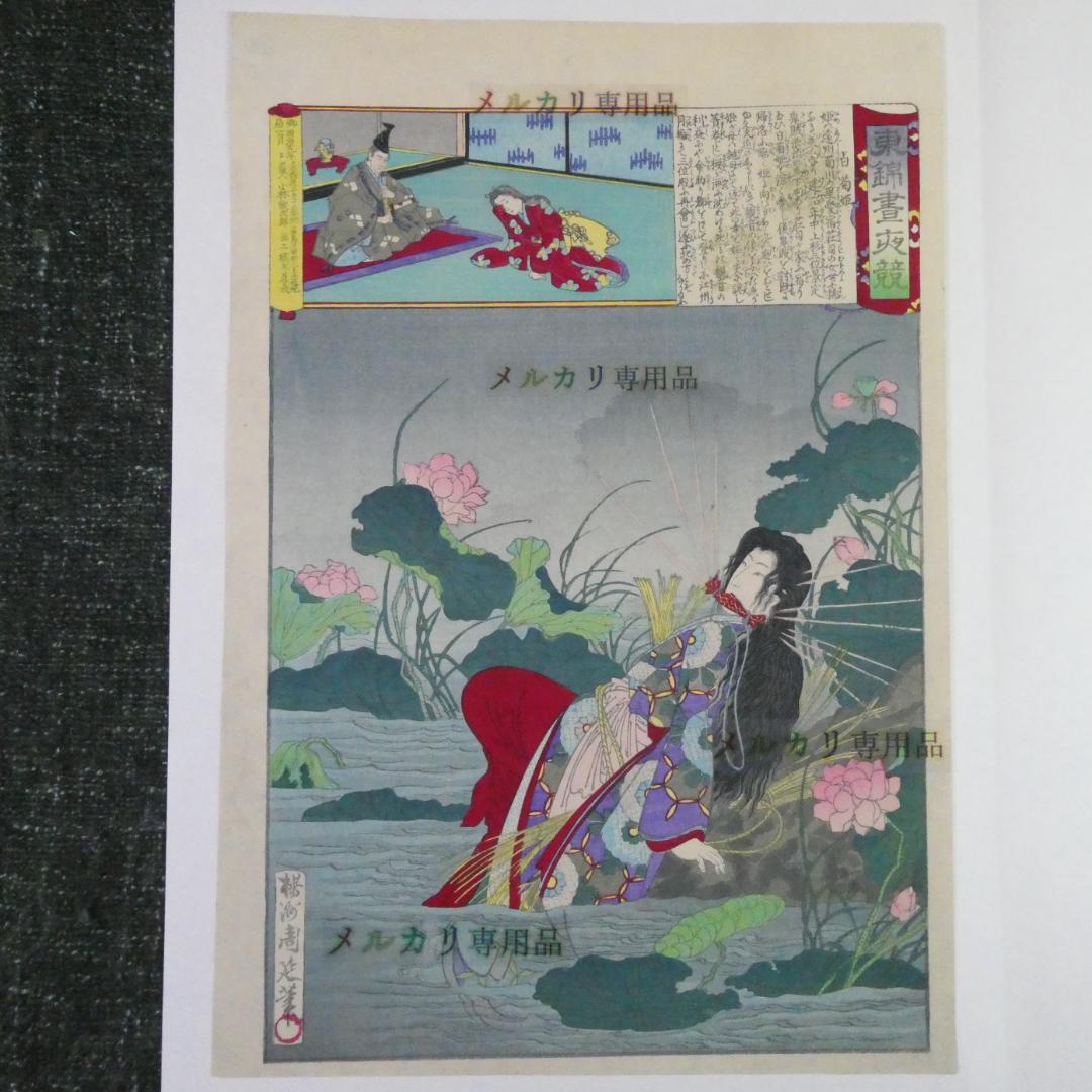 楊洲周延 東錦昼夜競 白菊姫