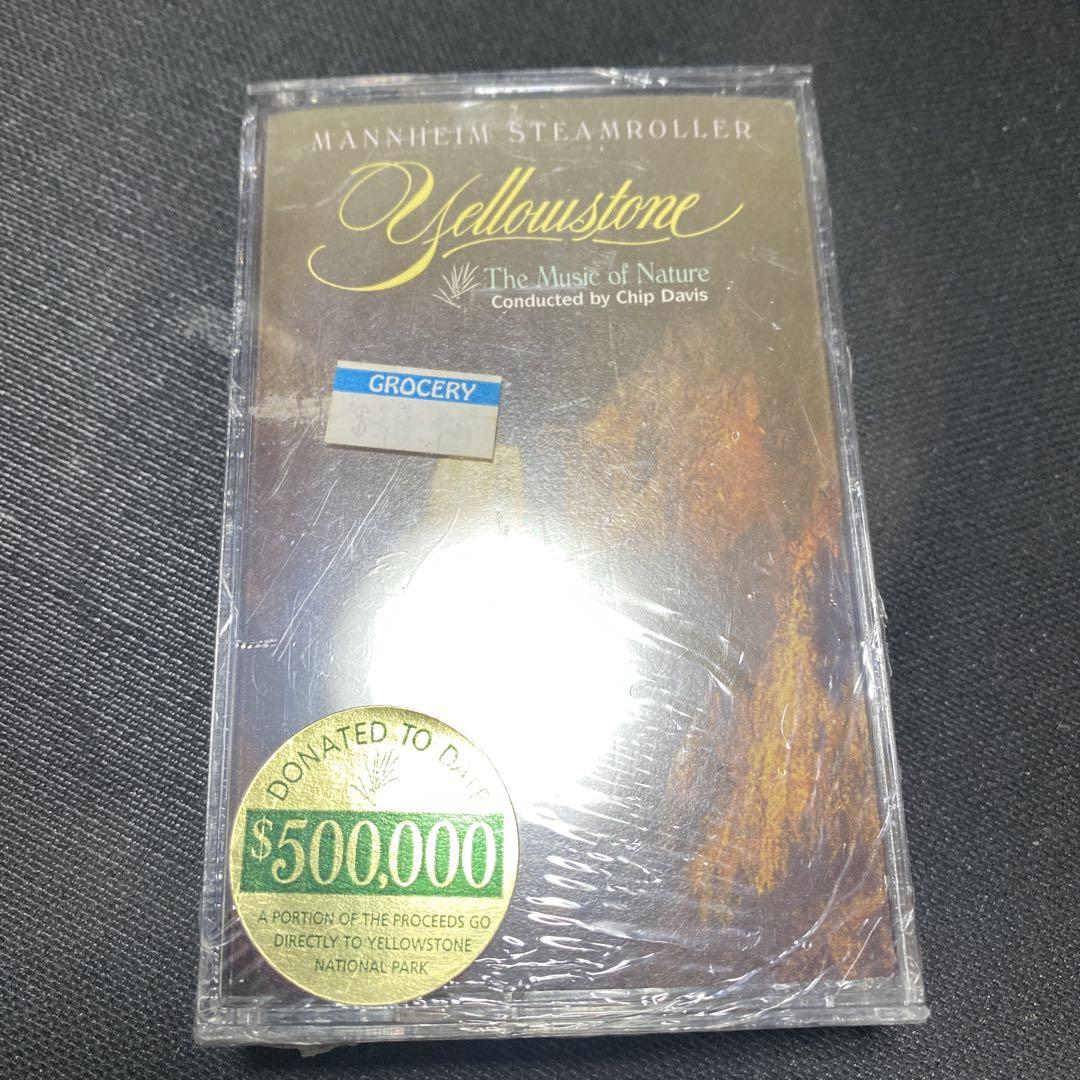 【新品】チップ・デイビス カセットテープ 洋楽 デッドストック レア