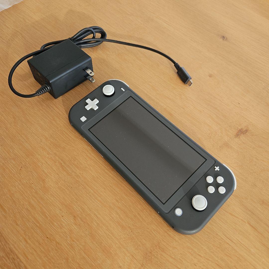 スイッチライト本体 グレー SwitchLight