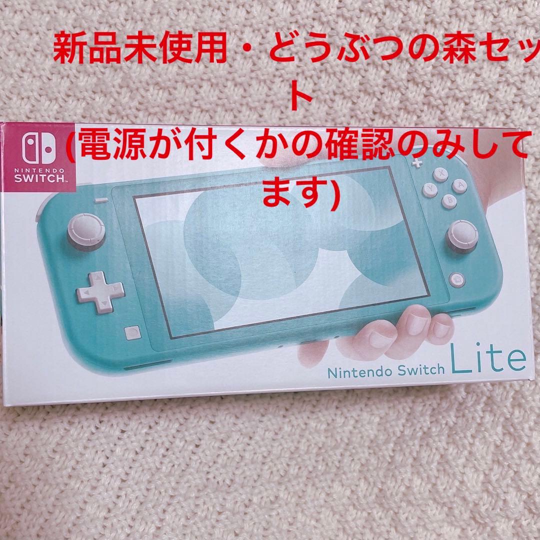 任天堂 Switch NINTENDO SWITCH LITE ターコイズ
