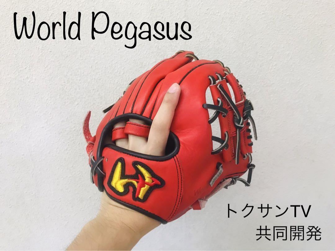 ワールドペガサス トレーニンググラブ