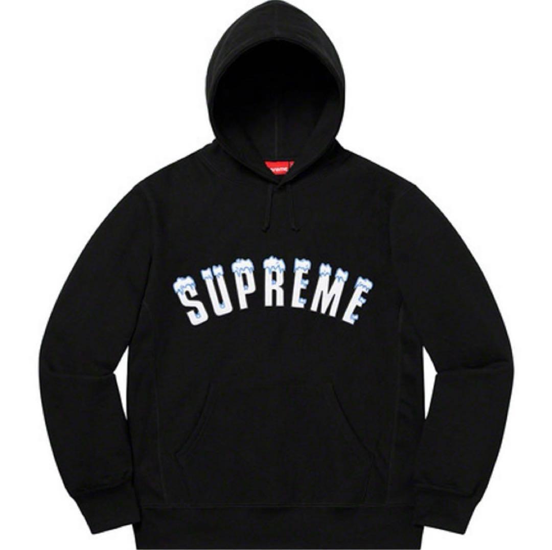 パーカー Supreme Icy Arc Hooded Sweatshirt